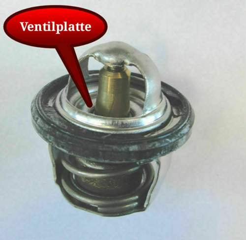 Einfachwirkendes Thermostatventil