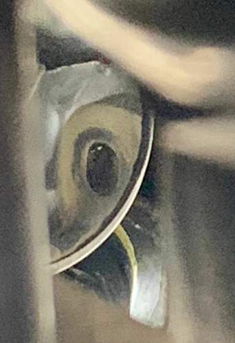 Asset.HEIC.jpg