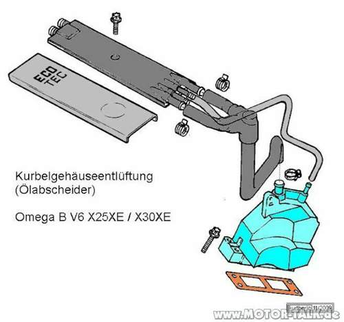 Kg-entl-oel-asch-v6-x