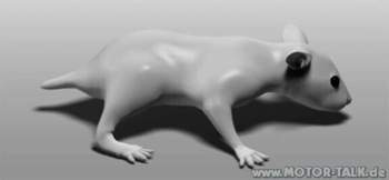 Hamster-naked