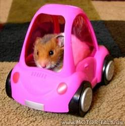 Richard-hammond-car-crash-photos