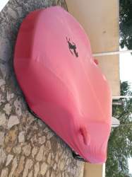 Img-20190225-104653