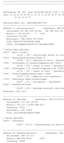 Fehlerprotokoll vcds