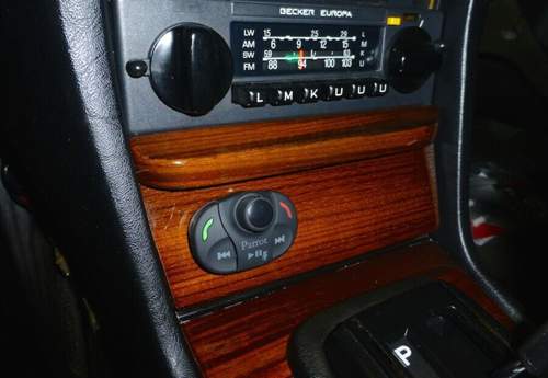 Parrot im W123
