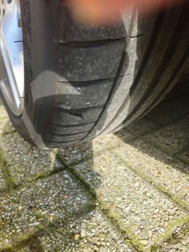 IMG_2024-06-02_18-44-30.jpeg