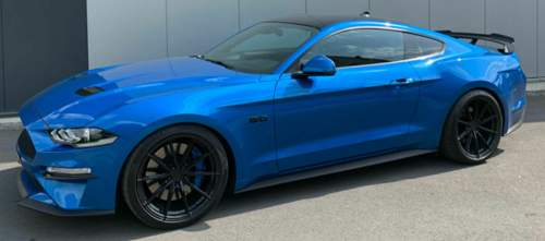 Blue Pony