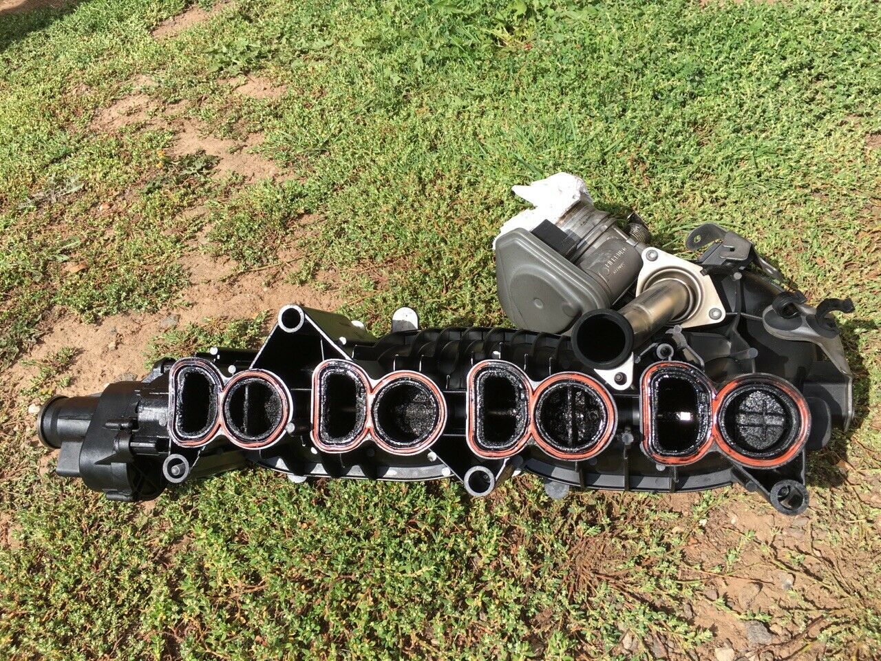 N47 Drallklappen Problem