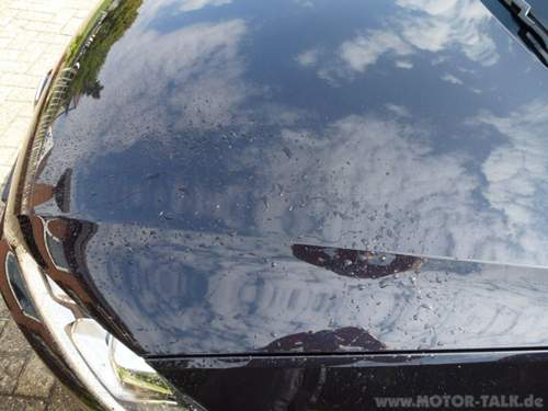 Bild2