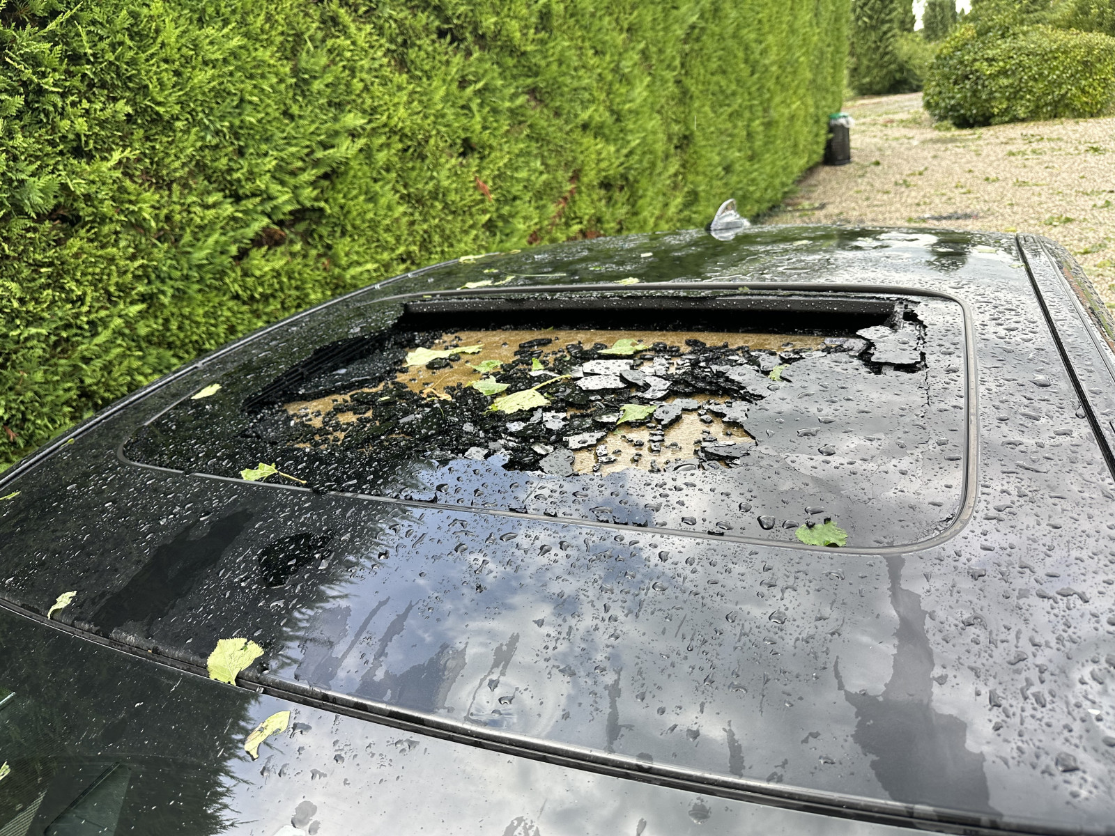 Nach Hageltotalschaden 730d xDrive (G11) Neuanschaffung 7er G11/G12 LCI oder A8 D5
