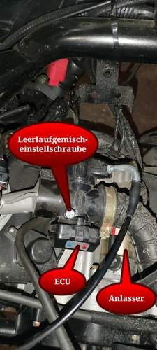 Leerlaufgemischeinstellschraube