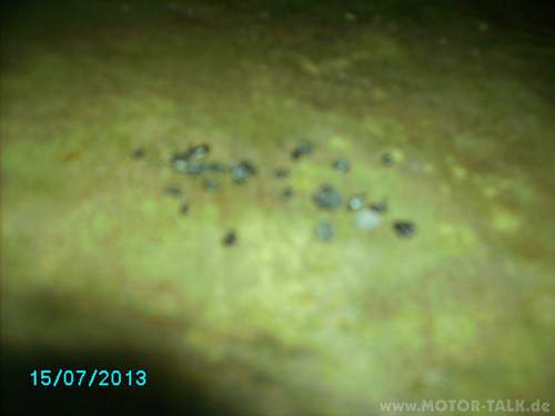 Pict0444