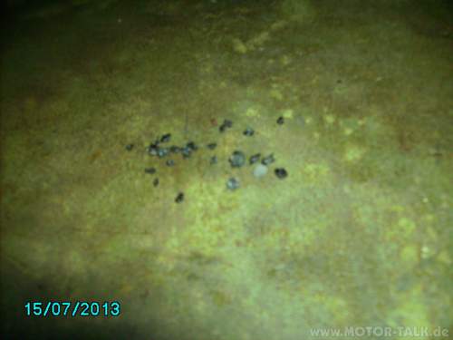 Pict0442