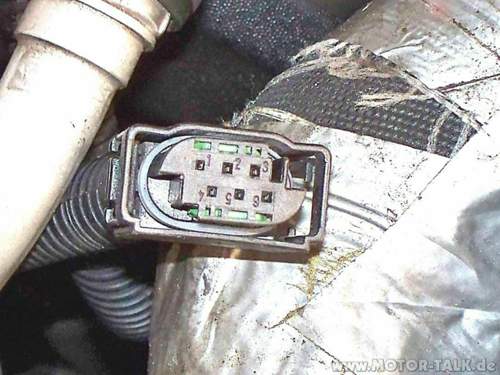 Stecker-zum-modul