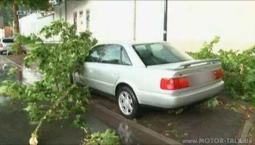 Audi-baum