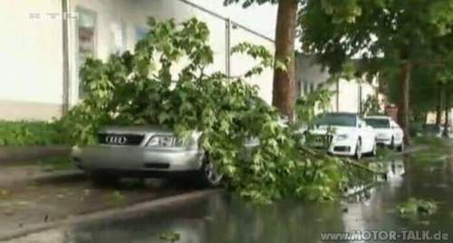 Audi-baum2