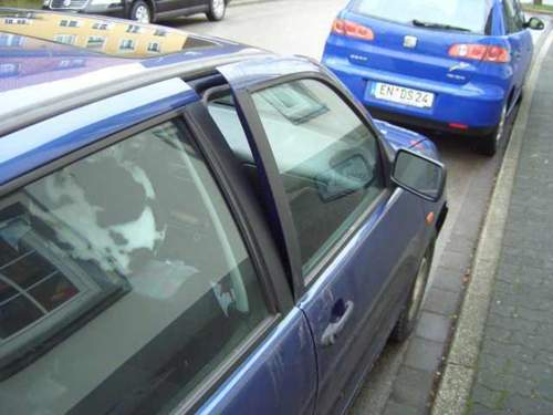 Der-rest-von-meinem-auto