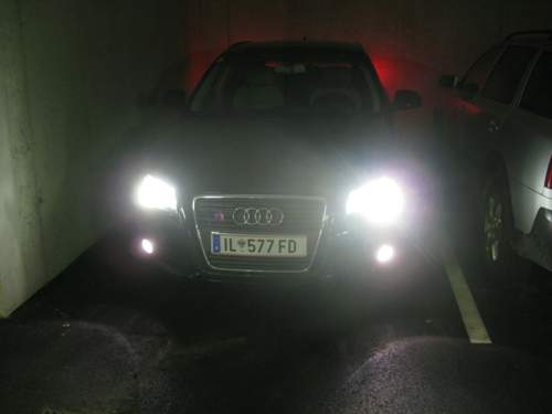 Mit xenon