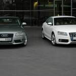 A5 Quarzgrau S5 Ibisweiß