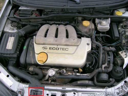 Motor