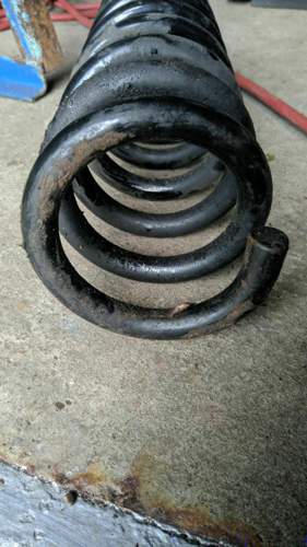 Feder-rost