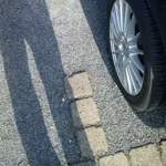 7826056238-e494d1f90a-b