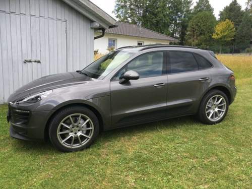Macan-17