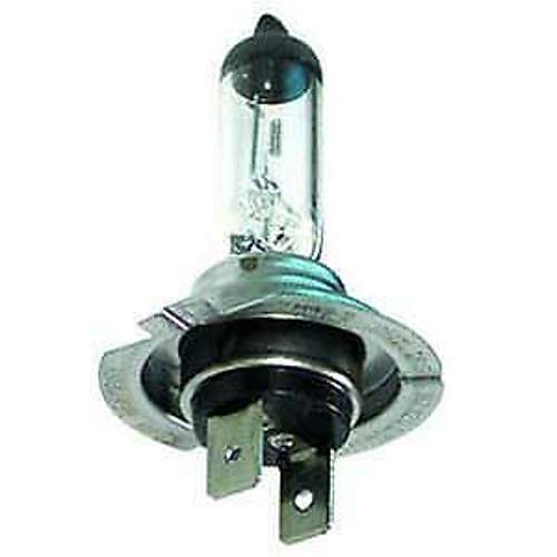 H7bulb