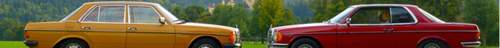 Banner-5