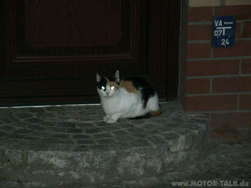 Pict0033