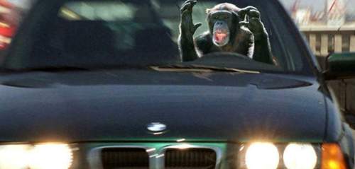 Dwo-satire-auto-affe-fb