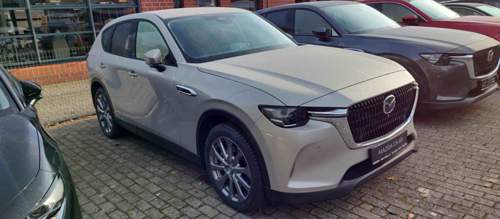 Cx60