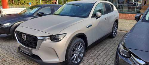 Cx-60