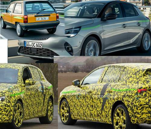 Corsa-kotfluegel-kerben