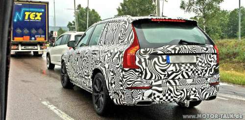 Zebra-hinten