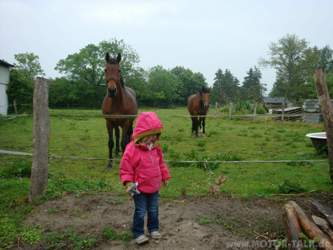 Bild-2973
