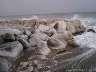 2010-01-23-11-07-22