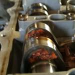 Rost auf der frischen Schrick