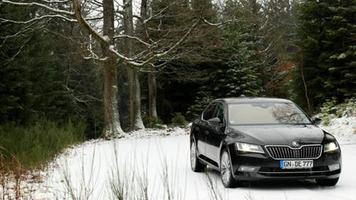 Superb-limo-3