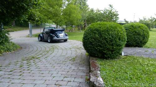 P1050305