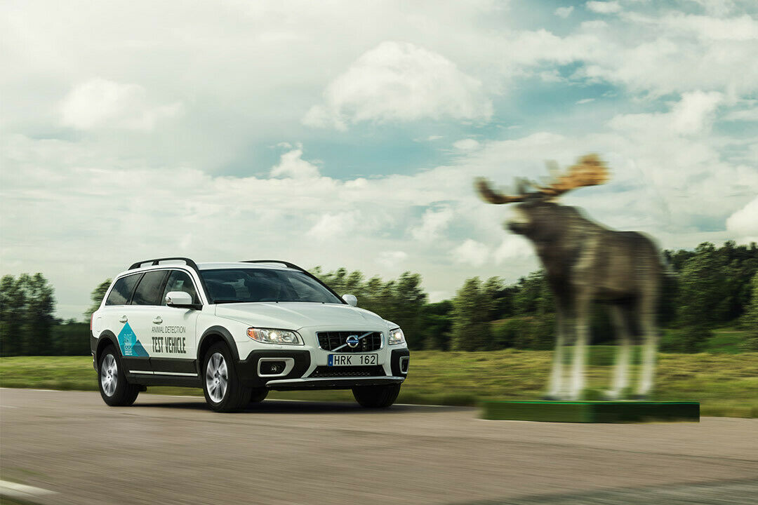 Volvo hat ein System entwickelt, das erstmals für Elche und Co bremst
