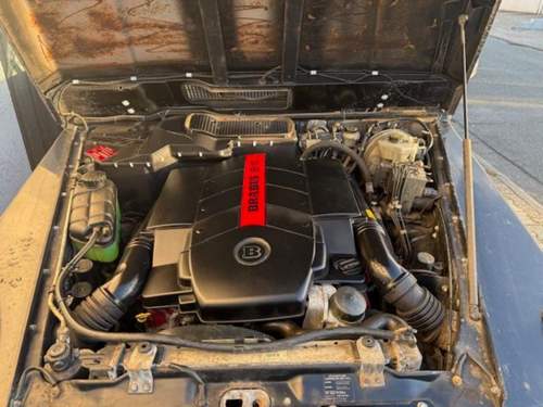 B11