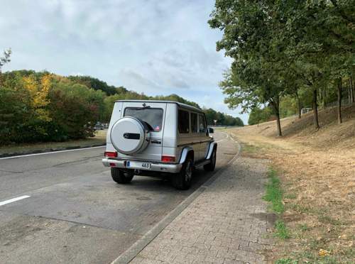 Freie_wildbahn