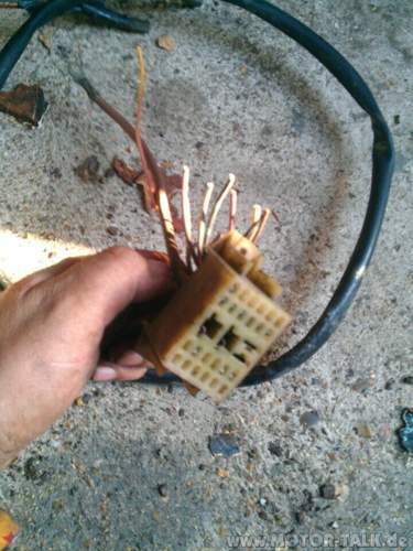 Img-20131102-123628