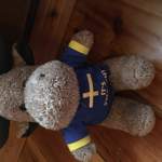 010f0377-5208-4609-acd1-9b26552cc779