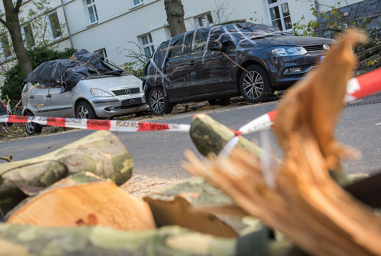 Vom Kratzer bis zum Totalschaden: Das Sturmtief Herwart richtete an zahlreichen Fahrzeugen im Norden und Osten Deutschlands Schäden an. Sie sollten so schnell wie möglich der Versicherung gemeldet werden