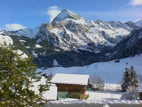 Panorama