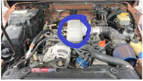 Motor