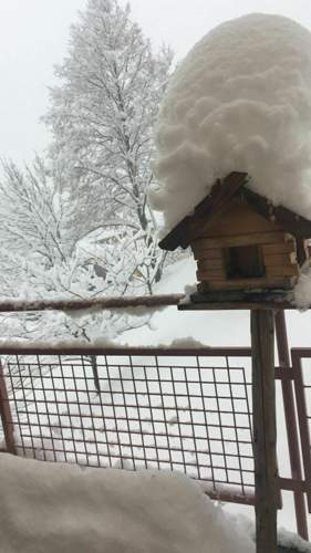 Schnee von "gestern"