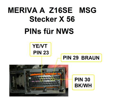 NWS-PINS am MSG-STECKER X 56