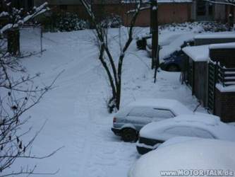 Winter